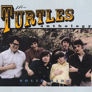 “Solid Zinc: The Turtles Anthology”的封面