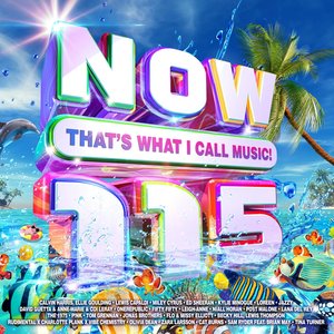 Image for 'Now That's What I Call Music! 115'