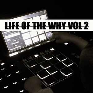 Image for 'Life Of The Why Vol 2'