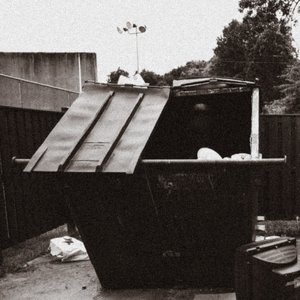 Image for 'Dumpster Dive'