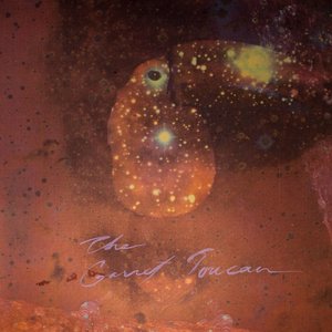 Image pour 'The Garnet Toucan'