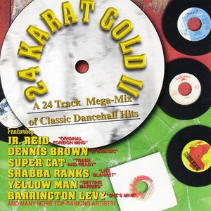 Imagen de '24 Karat Gold II: Classic Dancehall Megamix'