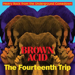 Immagine per 'Brown Acid - The Fourteenth Trip'