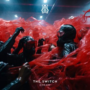 Image for 'The Switch'