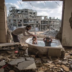 “Free Gaza”的封面