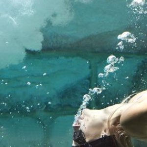 Image for 'Pearldiver'