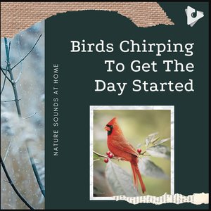 Image for 'Birds Chirping To Get The Day Started'