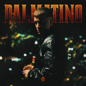 Image for 'DALMATINO'