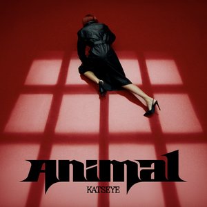 Zdjęcia dla 'Animal'