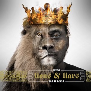 Image for 'Lions and Liars'