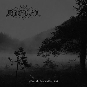 'Naa Skrider Natten Sort'の画像