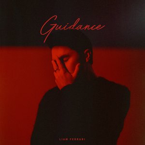 “Guidance”的封面