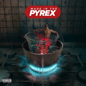 Image for 'Made In The Pyrex (Bonus Track)'