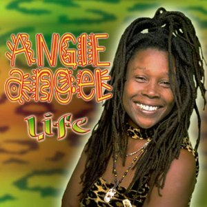 'Angie Angel'の画像