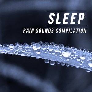 Image pour 'Sleep (Rain Sounds Compilation)'