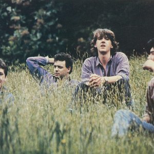 Immagine per 'The Wild Poppies'
