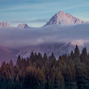 Image for 'Wildlands'