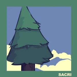 Immagine per 'Evergreen'