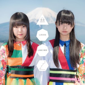 Image for '公開実験《LINK MIX》'