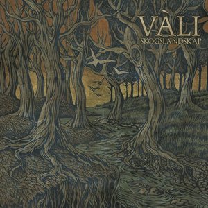 Image for 'Vаli'