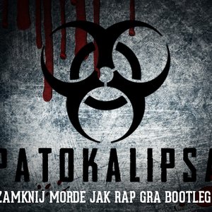 Image for 'ZAMKNIJ MORDE JAK RAP GRA BOOTLEG'