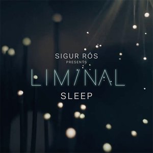 'Liminal Sleep' için resim