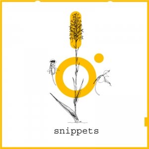 Image for 'Snippets [NL021]'