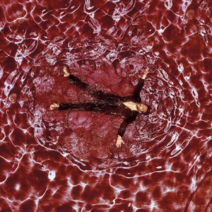 Image for 'Muse In Motion (Remix)'