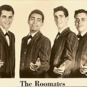 Image for 'The Roomates'