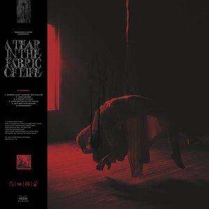 Zdjęcia dla 'A Tear in the Fabric of Life - EP'