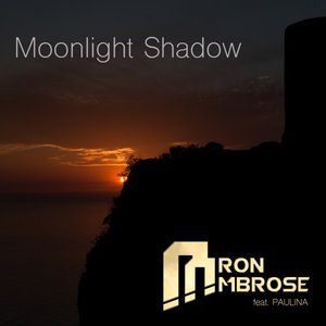 “Moonlight Shadow”的封面