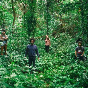 Изображение для 'Boogarins'