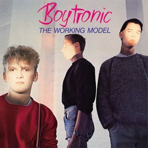 Image for 'The Working Model (Deluxe Edition)'