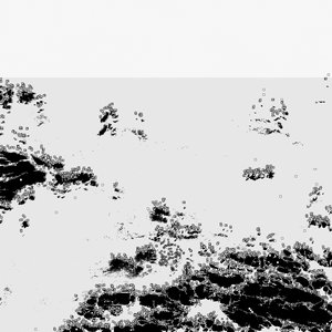 Bild für 'The Black Sea'
