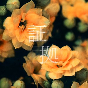 “Shoko”的封面