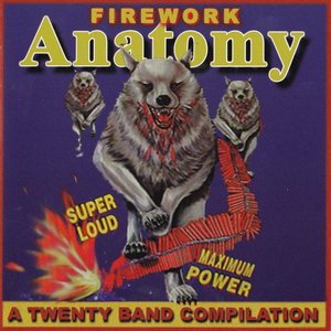 Image for 'A Twenty Band Compilation'