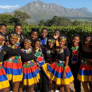 Image for 'Ndlovu Youth Choir'