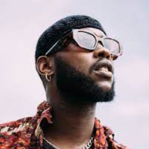 “Fred Gata”的封面