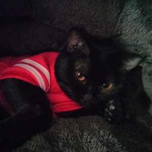 MeWtrue