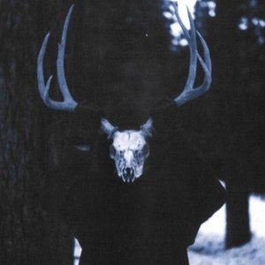 Image pour 'Agalloch'