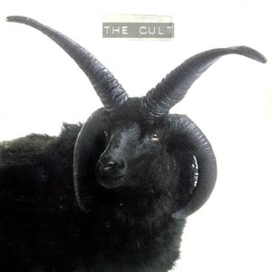 Image for 'The Cult'