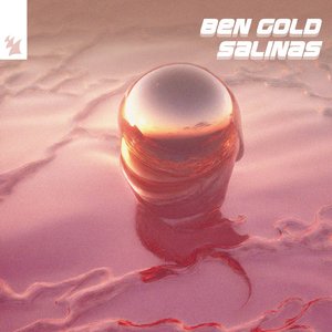 “Salinas”的封面