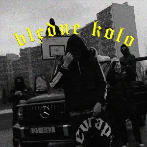 “Błędne koło”的封面