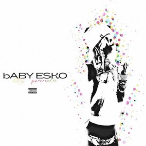 “BabyPanda”的封面
