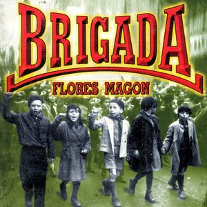 “Brigada Flores Magon”的封面