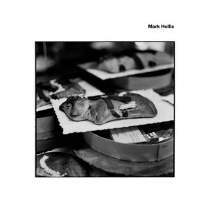 Mark Hollis