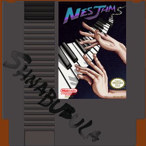 Image for 'NES JAMS'