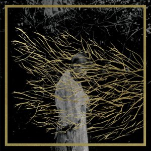 Immagine per 'Engravings (2025 Remastered)'