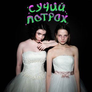 “сучий потрох”的封面