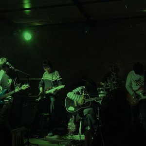 Image for '穿心莲'